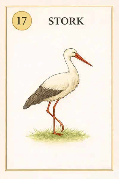 Stork — Lenormand card illustration